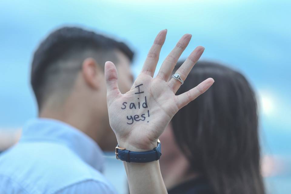 Engagement Pictures