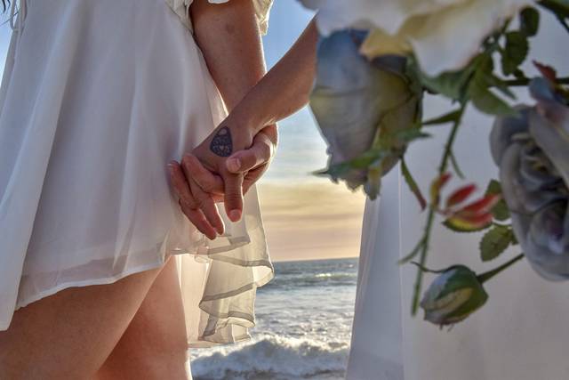 Moments by the shore