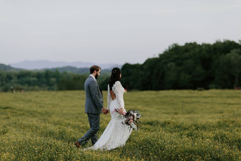 Buttercup field