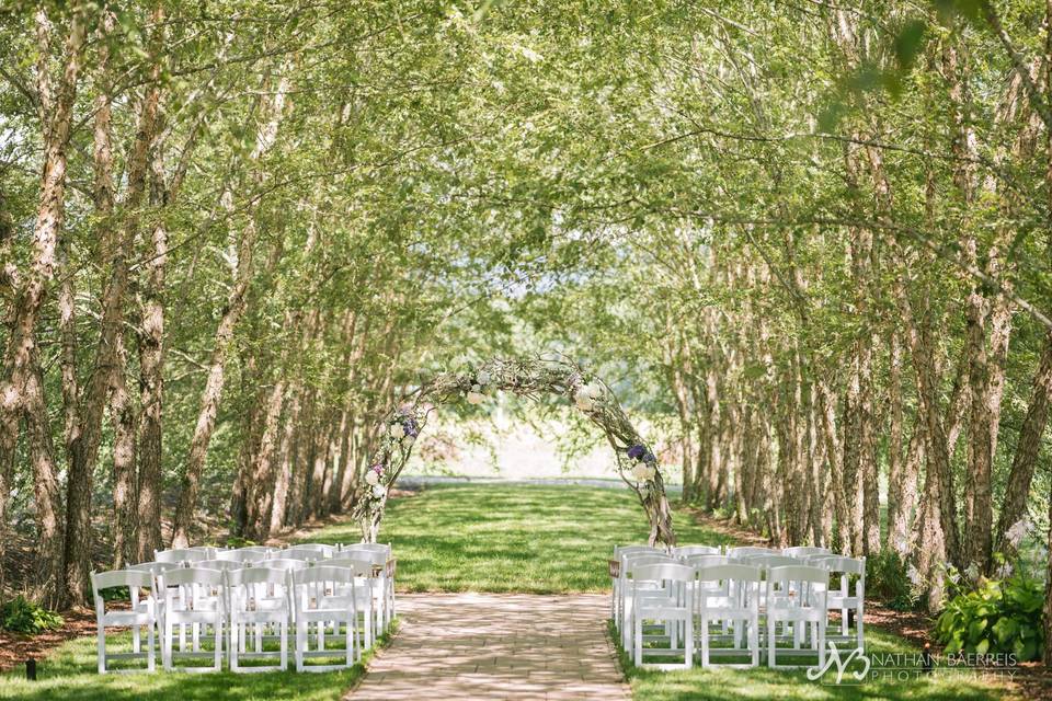 Birch Garden Micro Wedding