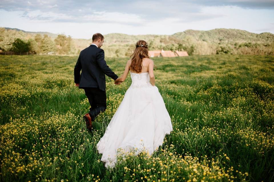 Buttercup field