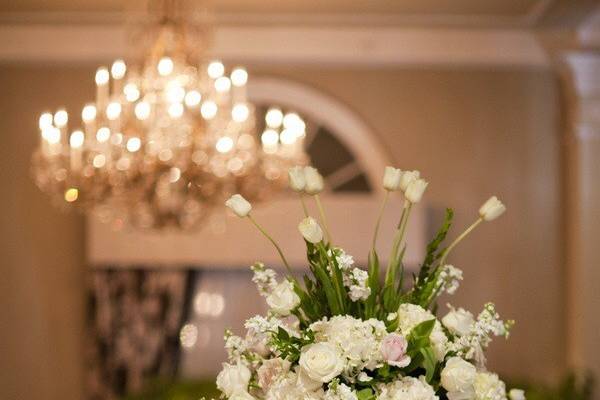 Table setup with centerpiece