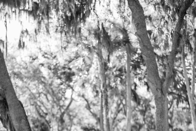 Glenda & Drew 03/07/26