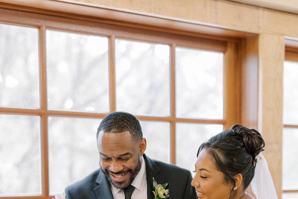 Cake Cutting