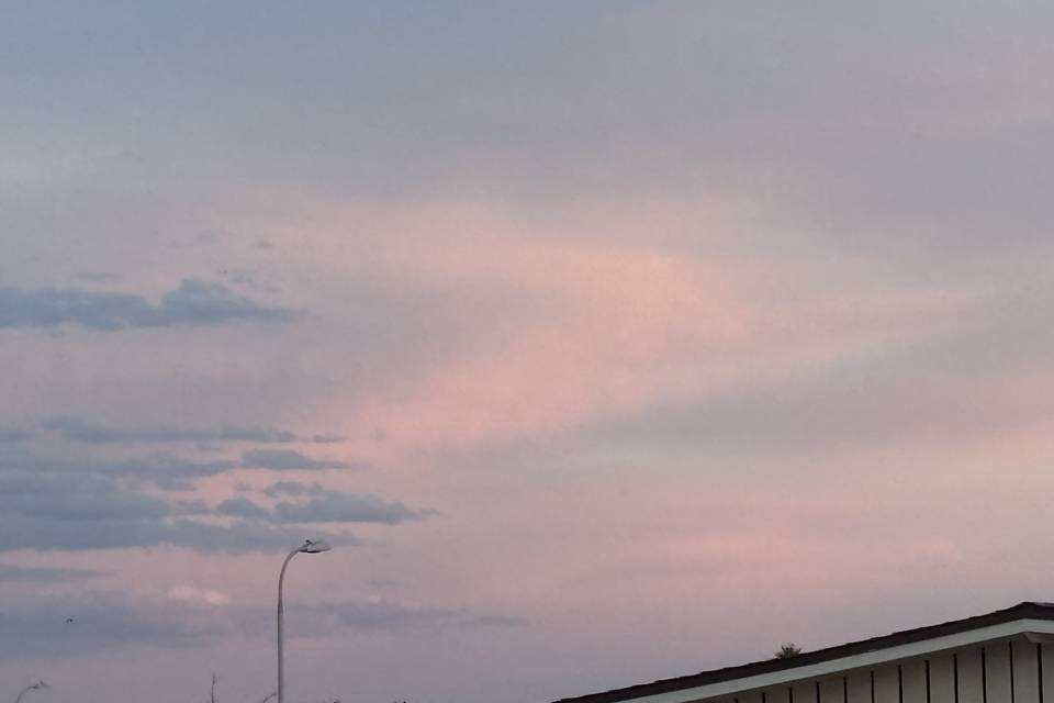 IMG_0077.jpeg
