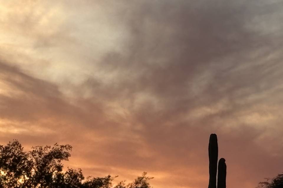 IMG_0079.jpeg