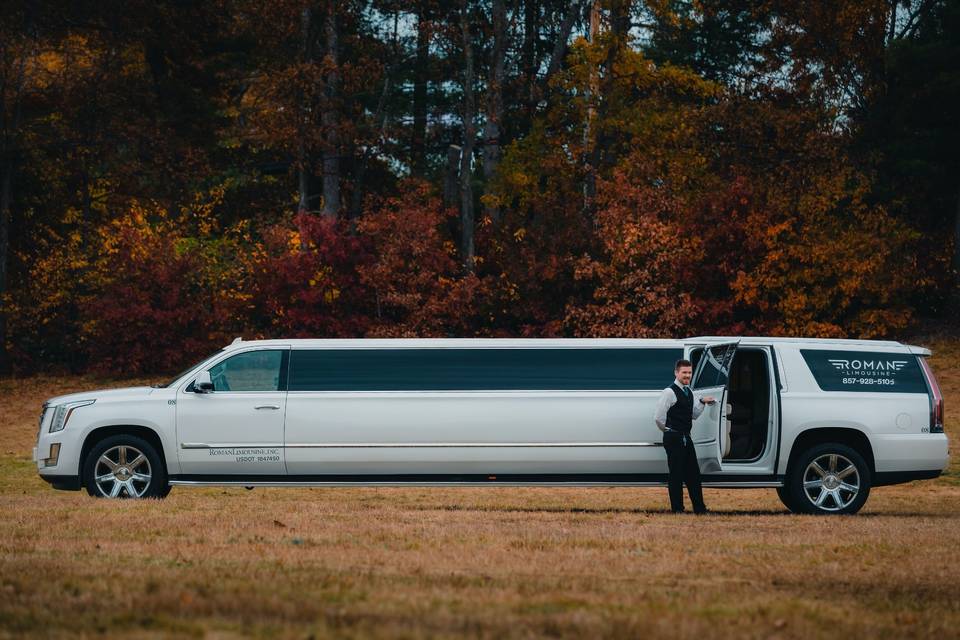 Cadillac Escalade Limousine