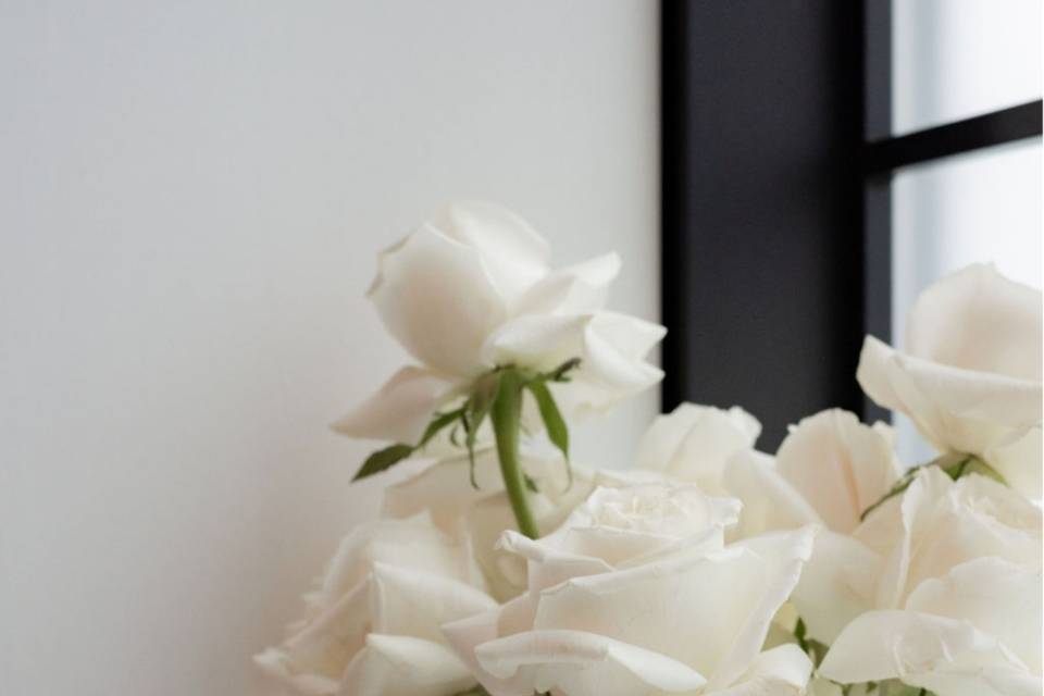 Untitled design (11).png