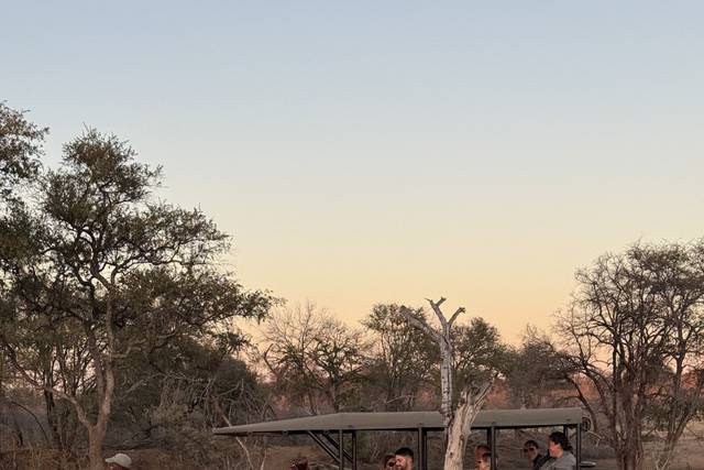 Wedding Travel with Rachel Levan