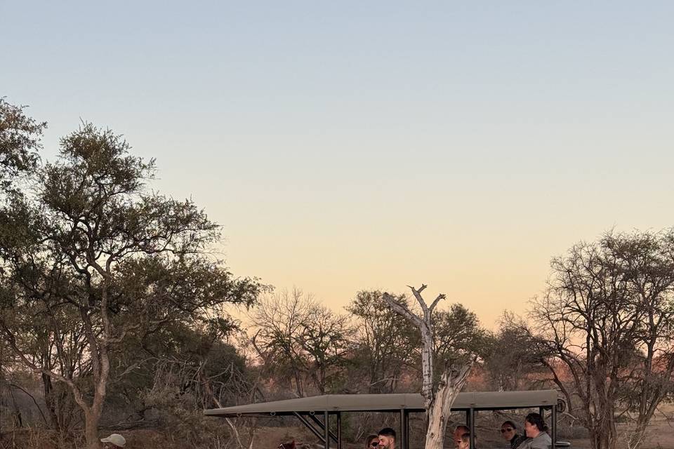 Wedding Travel with Rachel Levan