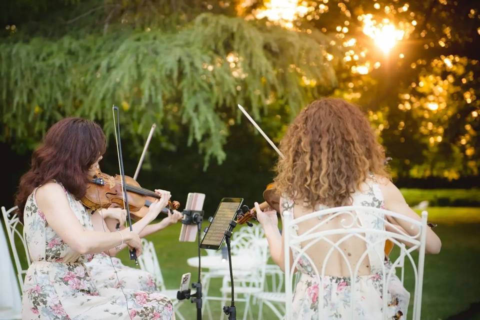 String Quartet