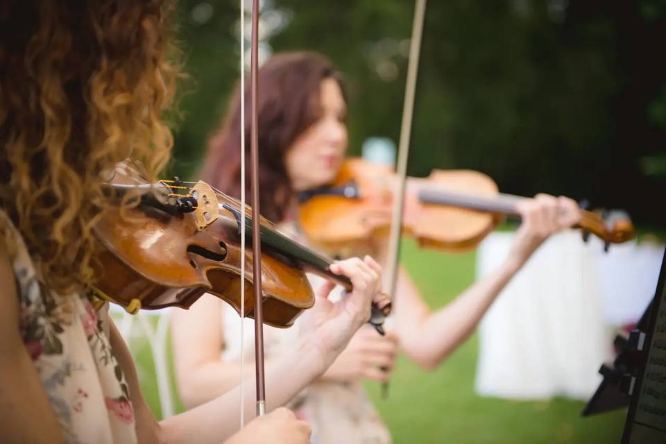 String Quartet