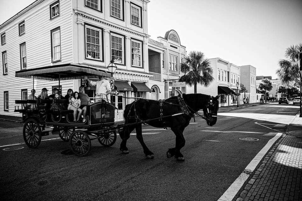 Palmetto Carriage Works