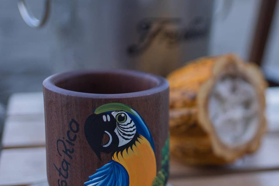 Macaw Experiences