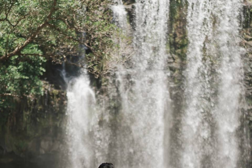 Macaw Experiences