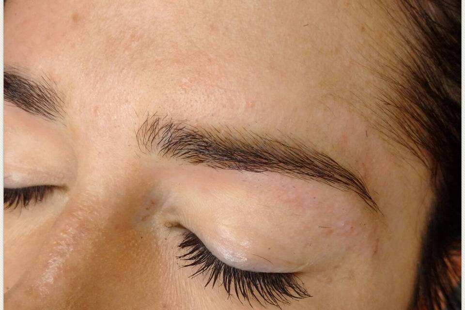 The Duchess of Brows