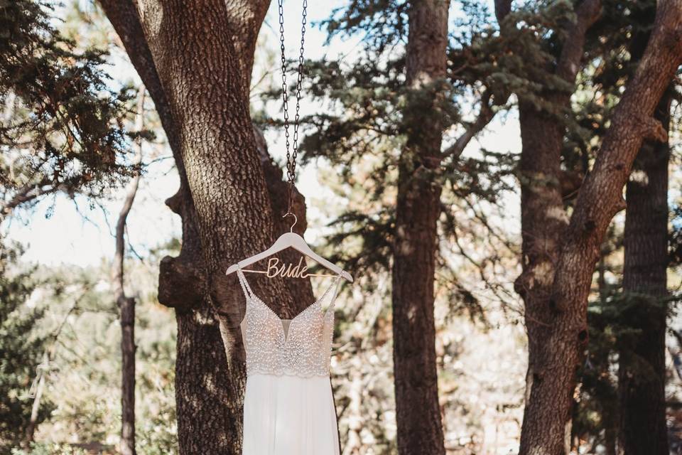 INTIMATE BIG BEAR ELOPEMENT