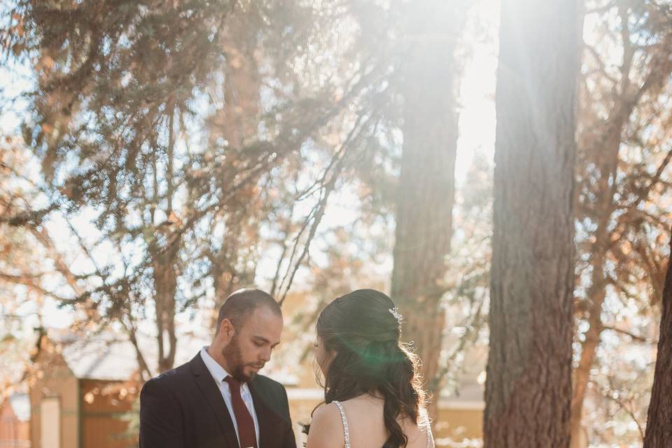 INTIMATE BIG BEAR ELOPEMENT