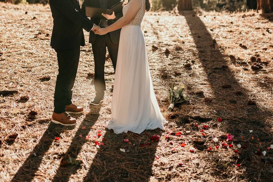 INTIMATE BIG BEAR ELOPEMENT