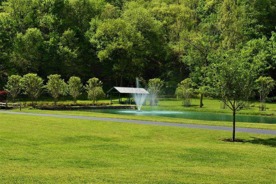 Fountain by the trees