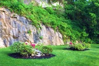 Greenery and flowers