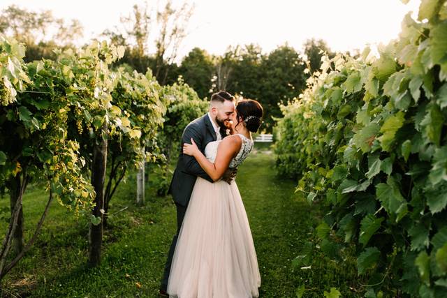 Vineyard
