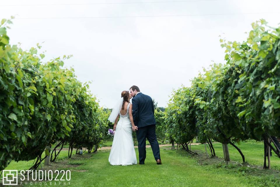 Vineyard