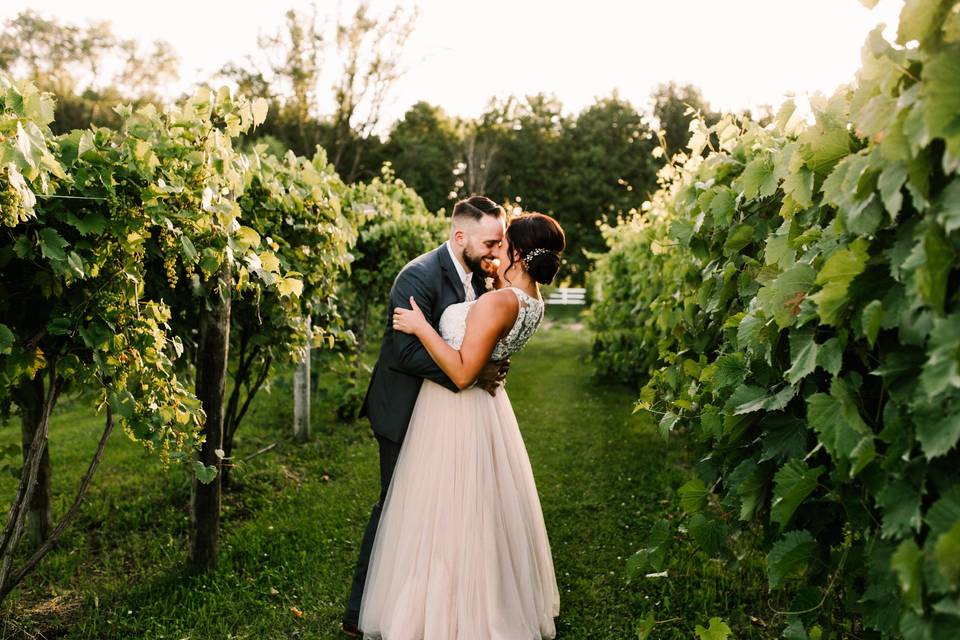 Vineyard