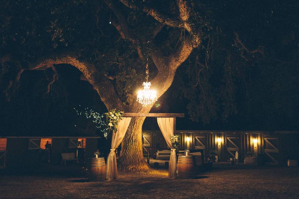 At night - I Heart My Groom Photo
