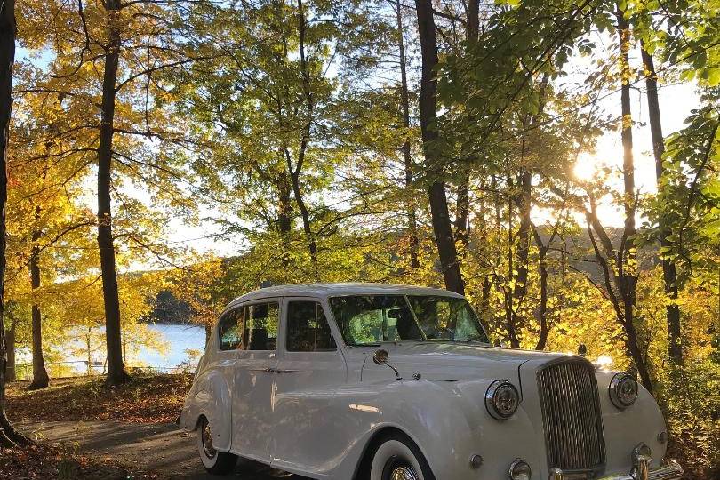 Parked in a forest