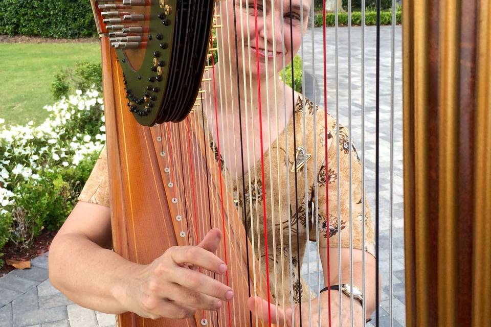 Harp Music by Judy Seghers