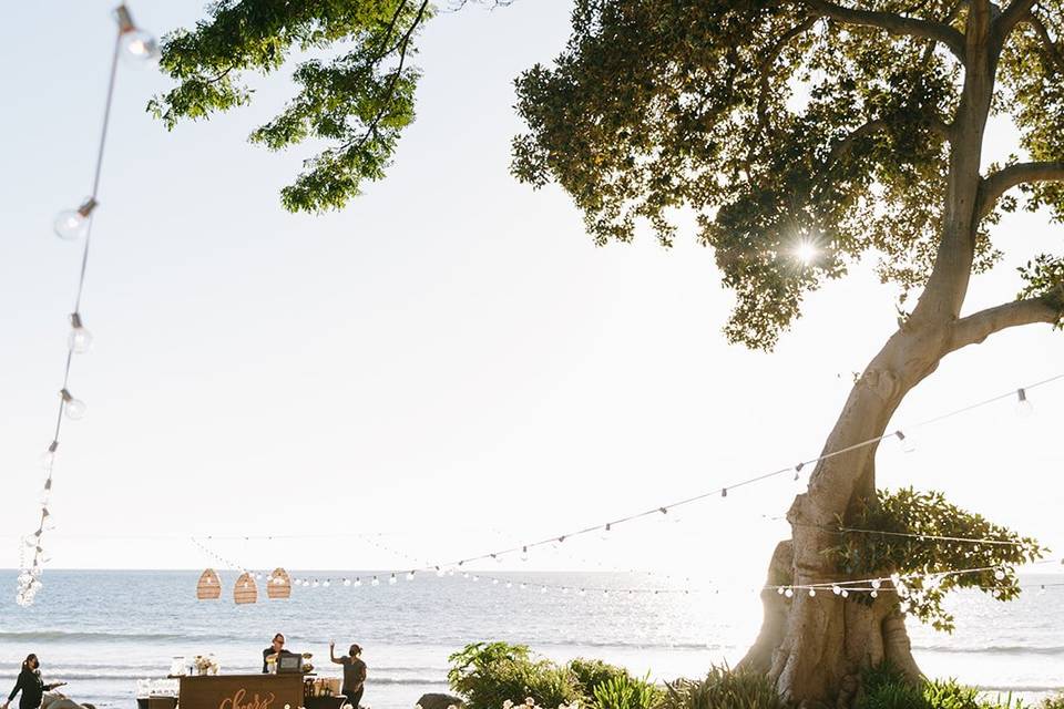 Oceanfront Wedding Reception