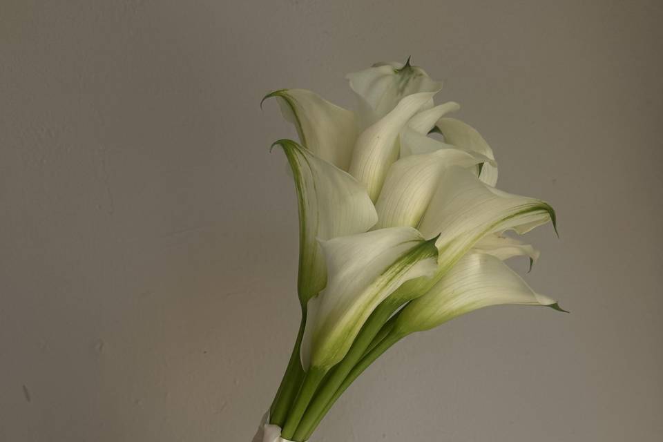 Calla Lily Bouquet