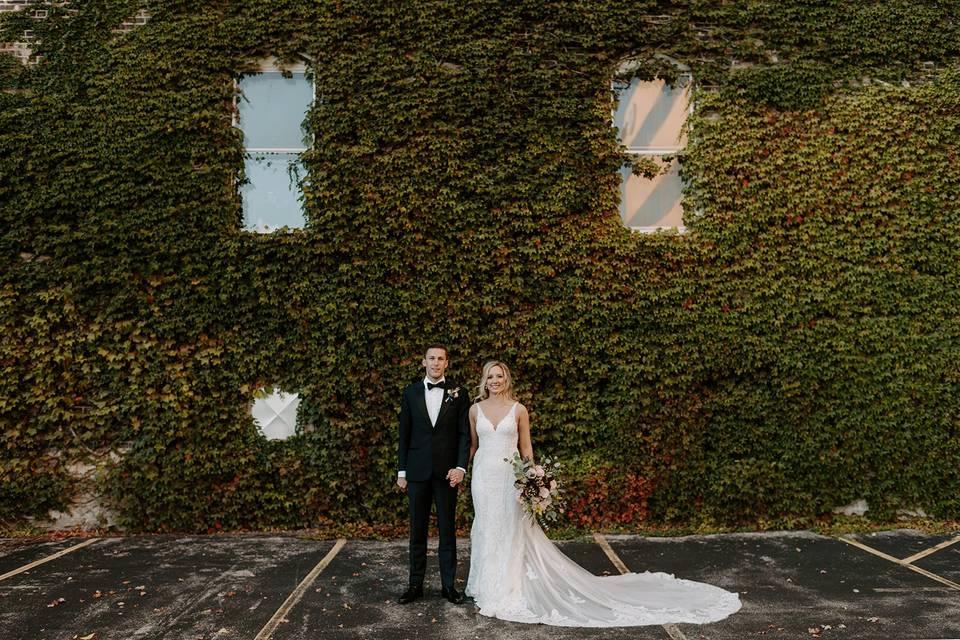 The Ivy Wall