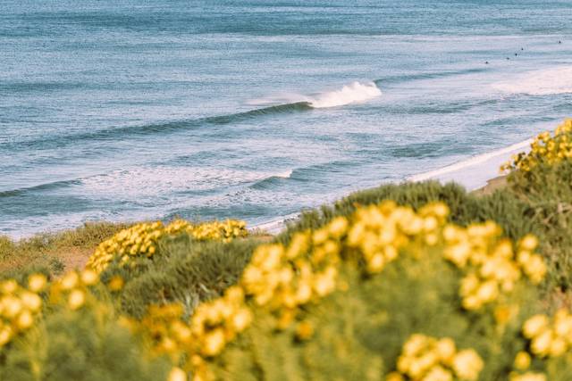 The Surfrider Malibu