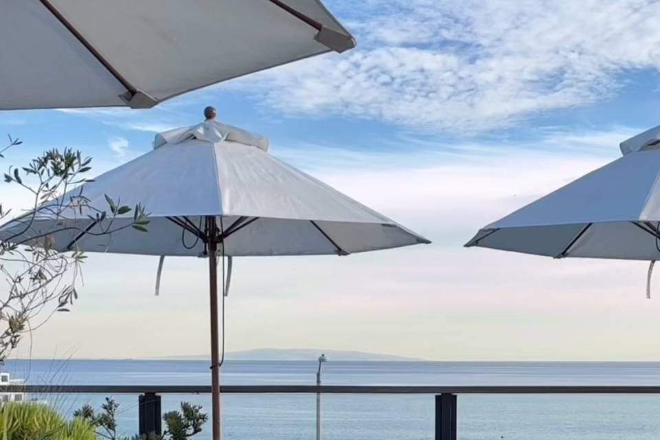 The Surfrider Malibu
