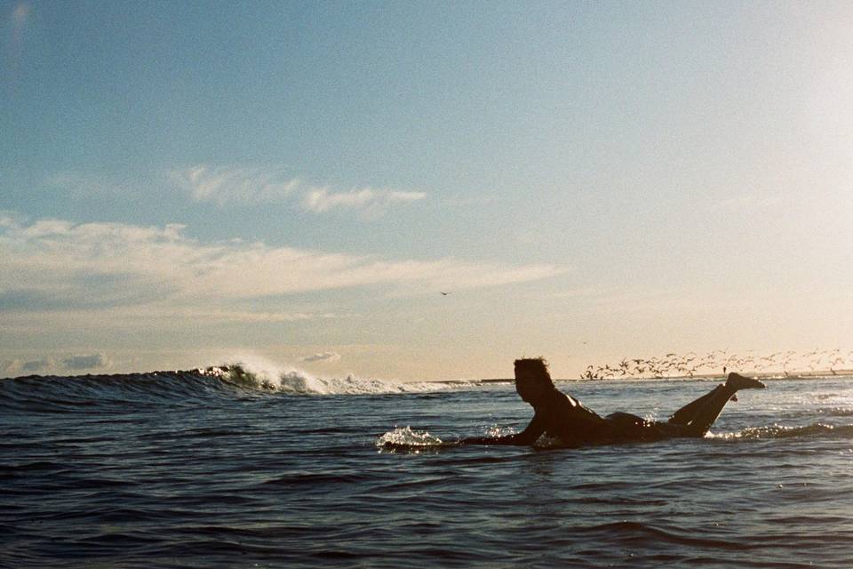 The Surfrider Malibu