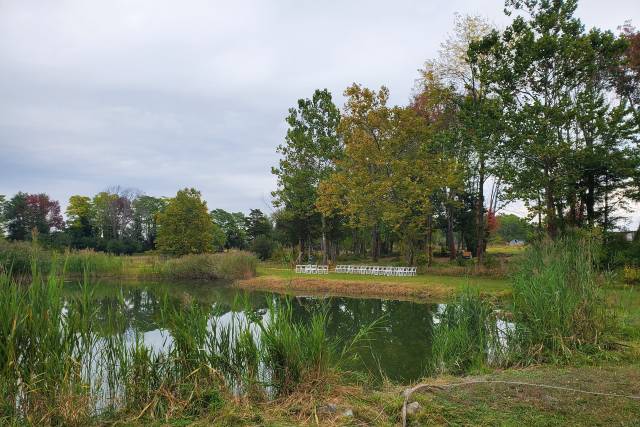 Pond Wedding site