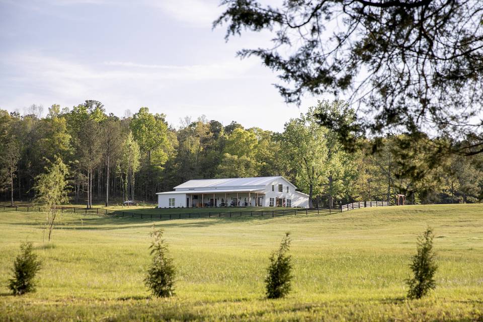 Pasture