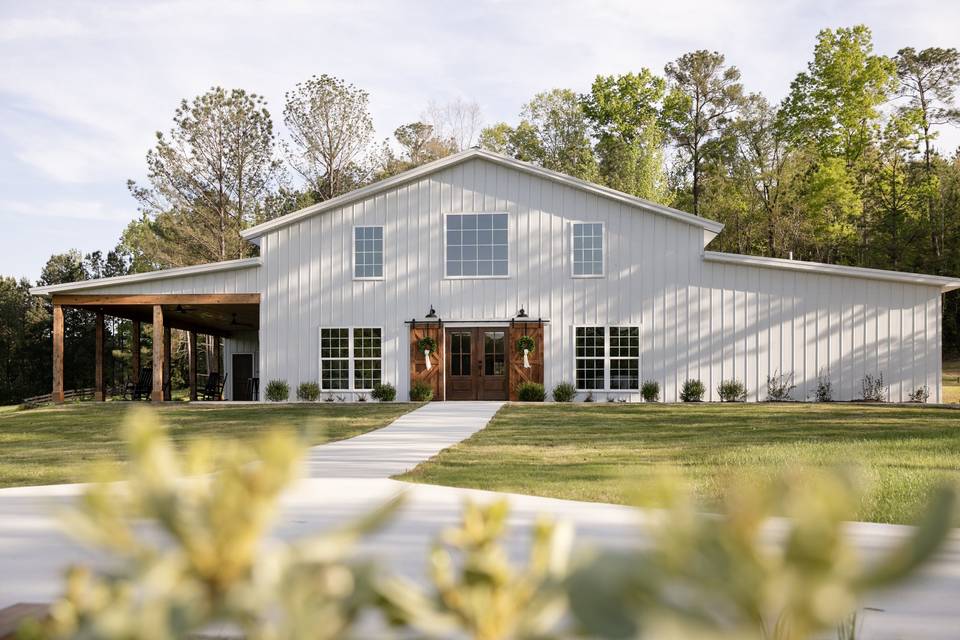 4T Vineyards