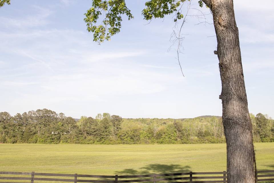 Pasture