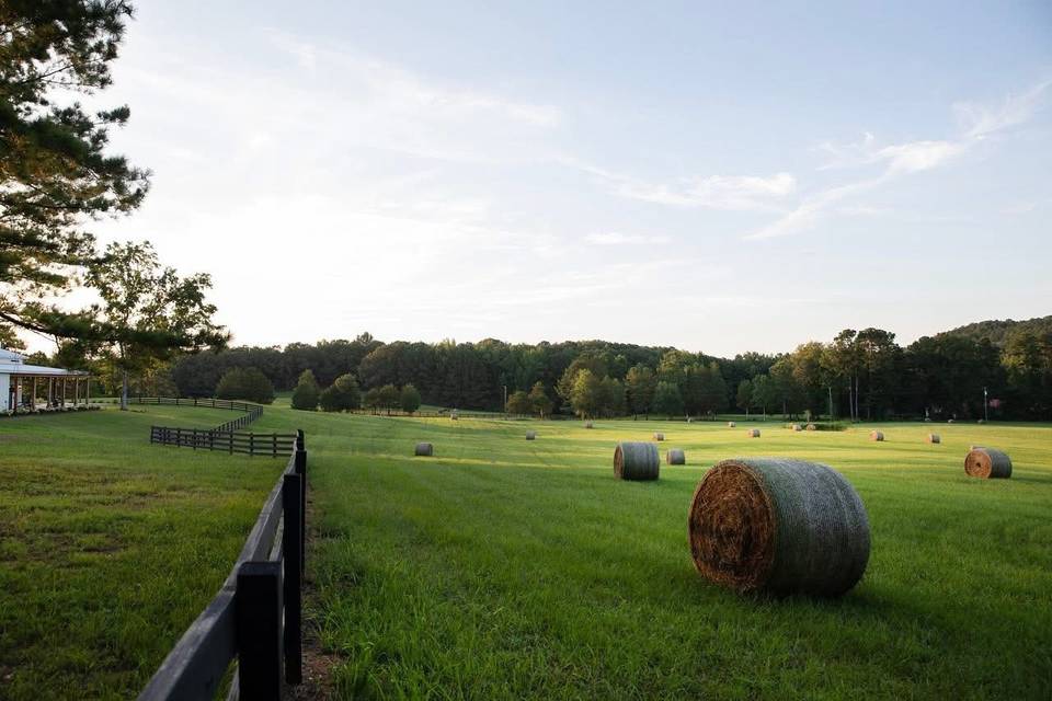 Pasture