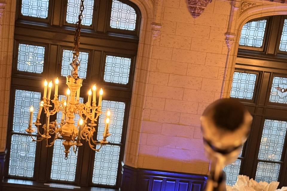 Wedding - The Mark Apartments