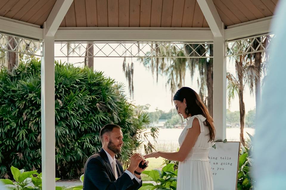 David + Natasha