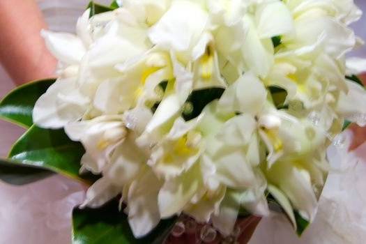 Very Special Flowers by Oliver Thorne