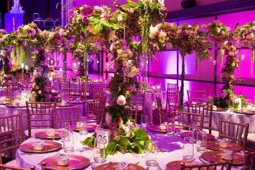 Very Special Flowers by Oliver Thorne
