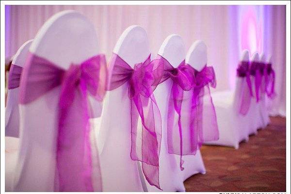 Elegant Wedding Chair Covers