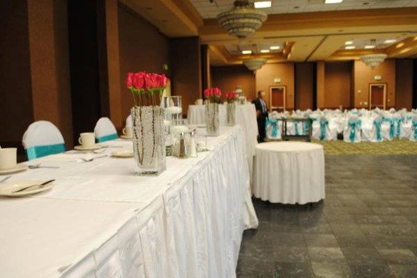 Elegant Wedding Chair Covers