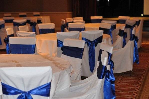 Elegant Wedding Chair Covers