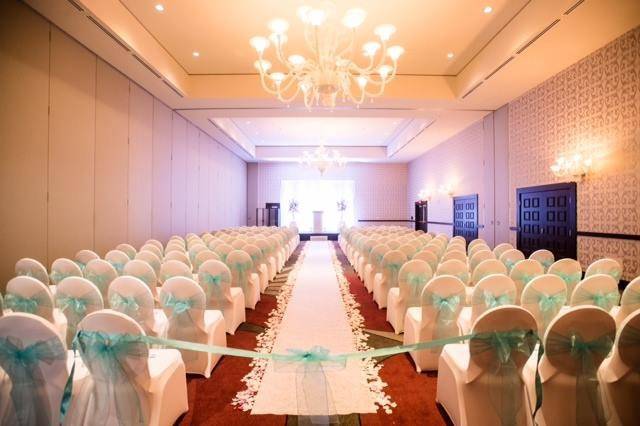 Elegant Wedding Chair Covers